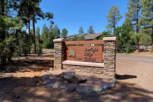 6920 N Starlight Ridge Parkway Pkwy, Lakeside, AZ 85929 - Photo 29