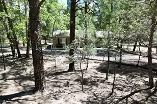 6348 Juniper Ridge Rd, Show Low, AZ 85901 - Photo 25