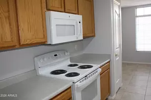 13232 W Desert Ln, Surprise, AZ 85374 - Photo 19