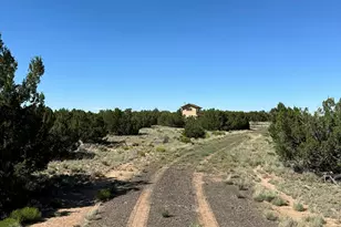 #331 N7326 --, Saint Johns, AZ 85936 - Photo 29