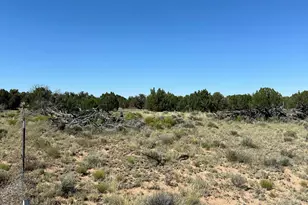 #331 N7326 --, Saint Johns, AZ 85936 - Photo 25