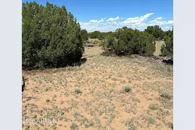 #331 N7326 --, Saint Johns, AZ 85936 - Photo 21