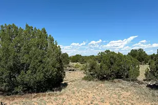 #331 N7326 --, Saint Johns, AZ 85936 - Photo 21