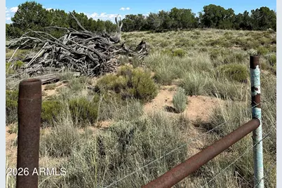 #331 N7326 --, Saint Johns, AZ 85936 - Photo 23