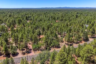 2918 Starlight Dr, Happy Jack, AZ 86024 - Photo 45