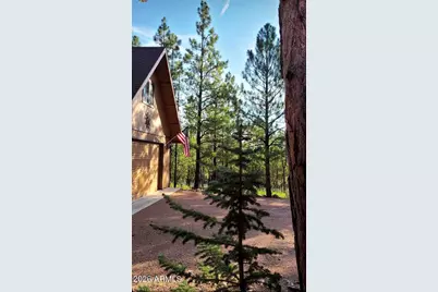 2918 Starlight Drive, Happy Jack, AZ 86024 - Photo 5