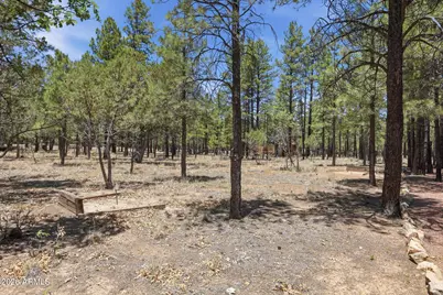 2918 Starlight Drive, Happy Jack, AZ 86024 - Photo 43