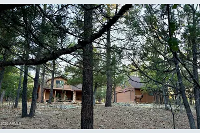 2918 Starlight Drive, Happy Jack, AZ 86024 - Photo 43