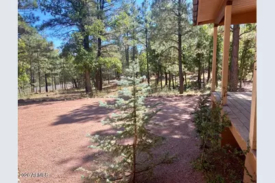 2918 Starlight Drive, Happy Jack, AZ 86024 - Photo 7