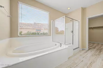 27413 W Tonopah Drive, Buckeye, AZ 85396 - Photo 11