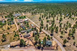 2747 Senior Center St, Overgaard, AZ 85933 - Photo 31
