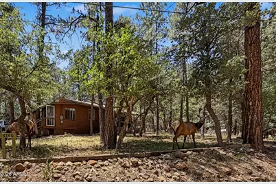 3780 N Hunt Drive, Pine, AZ 85544 - Photo 1