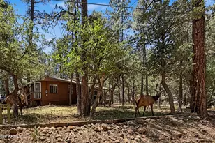 3780 N Hunt Dr, Pine, AZ 85544 - Photo 1