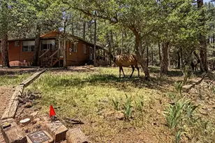 3780 N Hunt Dr, Pine, AZ 85544 - Photo 49