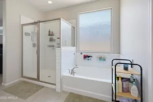 19341 W Annika Dr, Litchfield Park, AZ 85340 - Photo 23