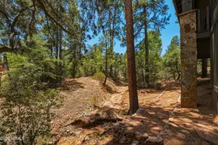 1603 E Velvet Mesquite Ct, Payson, AZ 85541 - Photo 31