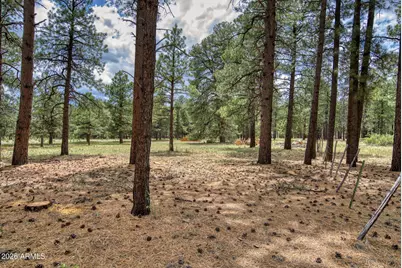 12847 E Dream Acres Lane #-, Parks, AZ 86018 - Photo 11
