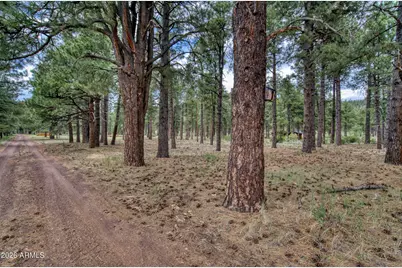12847 E Dream Acres Lane #-, Parks, AZ 86018 - Photo 25