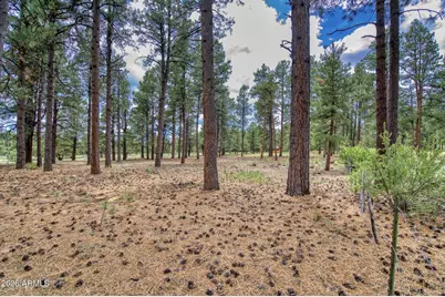 12847 E Dream Acres Lane #-, Parks, AZ 86018 - Photo 21