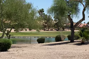 25235 S Fair Oaks Dr, Sun Lakes, AZ 85248 - Photo 91