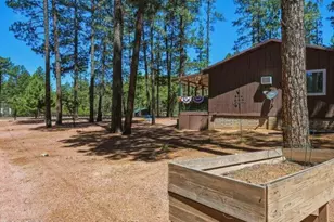 9025 W Dans Hwy, Strawberry, AZ 85544 - Photo 35