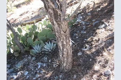 42444 N Purcell Canyon Drive #-, Seligman, AZ 86337 - Photo 15