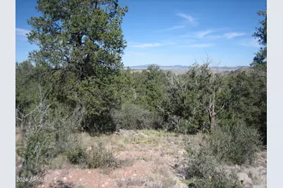 42444 N Purcell Canyon Drive #-, Seligman, AZ 86337 - Photo 9