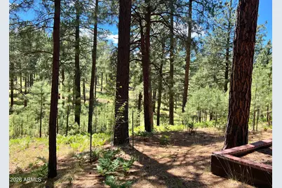2367 Ryan Ranch Loop, Forest Lakes, AZ 85931 - Photo 21
