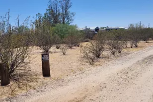 3764 N Razorback Dr, Florence, AZ 85132 - Photo 7