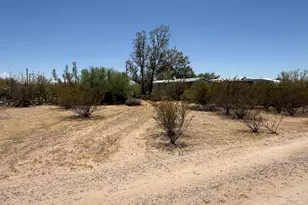 3764 N Razorback Dr, Florence, AZ 85132 - Photo 5
