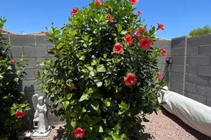 11404 E Renata Ave, Mesa, AZ 85212 - Photo 101