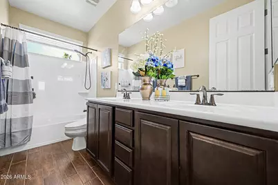 1180 E Ibis Street, Gilbert, AZ 85297 - Photo 29