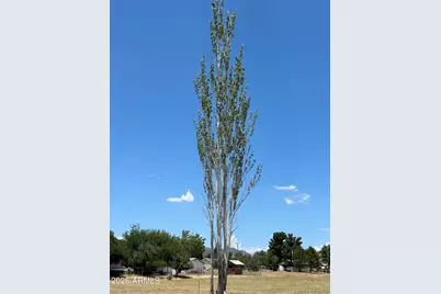 18628 S Joseph Hodge Road #80, Peeples Valley, AZ 86332 - Photo 5