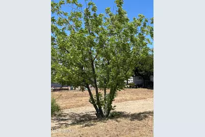 18628 S Joseph Hodge Road #80, Peeples Valley, AZ 86332 - Photo 3