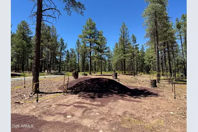 1985 Flower Spring Trl -- #59, Flagstaff, AZ 86005 - Photo 1