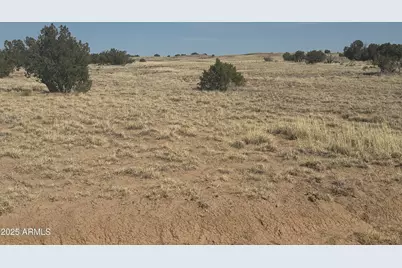 33 County Road N6211 -- #71, Saint Johns, AZ 85936 - Photo 3