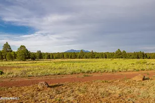 745 S Dust Devil Dr, Parks, AZ 86018 - Photo 59
