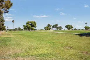 10189 W Pineaire Dr, Sun City, AZ 85351 - Photo 27