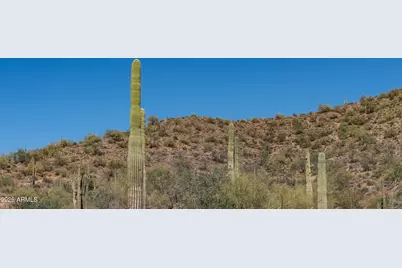 10879 E Copa Del Oro Lane #4 LOTS, Gold Canyon, AZ 85118 - Photo 9