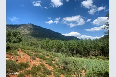 Lot 49 W Ruin Hill Loop Loop #49, Pine, AZ 85544 - Photo 1