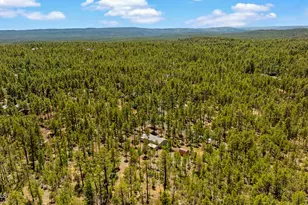 779 Lone Wolf Ln, Lakeside, AZ 85929 - Photo 37