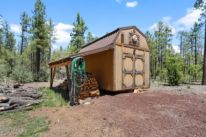 779 Lone Wolf Lane, Lakeside, AZ 85929 - Photo 11