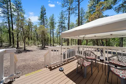 779 Lone Wolf Lane, Lakeside, AZ 85929 - Photo 13