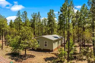 779 Lone Wolf Ln, Lakeside, AZ 85929 - Photo 35