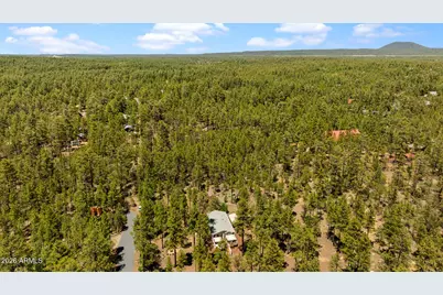 779 Lone Wolf Lane, Lakeside, AZ 85929 - Photo 39