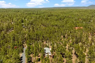 779 Lone Wolf Ln, Lakeside, AZ 85929 - Photo 39