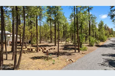 779 Lone Wolf Lane, Lakeside, AZ 85929 - Photo 41