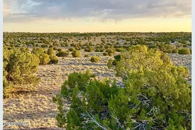 Tbd Co Rd N7120 40 Acres -- #-, Saint Johns, AZ 85936 - Photo 3