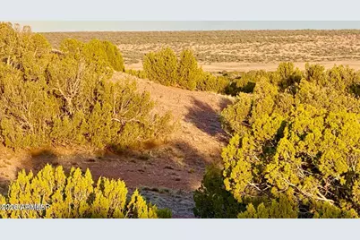 Tbd Co Rd N7120 40 Acres -- #-, Saint Johns, AZ 85936 - Photo 11