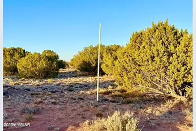 Tbd Co Rd N7120 40 Acres -- #-, Saint Johns, AZ 85936 - Photo 19